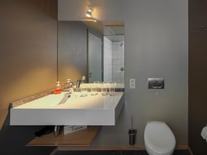 Bathrooms in the Duché-Charlemagne apartment